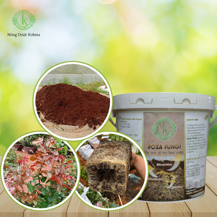 Viên Nấm Cộng Sinh Rễ Mycorrhiza Trichoderma Bacillus – Tăng Trưởng Mạnh Mẽ, Cải Thiện Đất Cho Cây Trồng