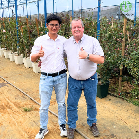 Kobeta và hãng David Austin hợp tác sản xuất cây giống hoa hồng tại Việt Nam.