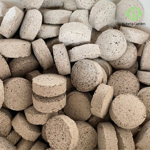 Viên nén vi sinh Rosa Fungi - Rosa Fungi Plus và công dụng của nó