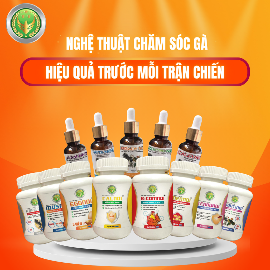 NGHỆ THUẬT CHĂM SÓC GÀ HIỆU QUẢ TRƯỚC MỖI TRẬN CHIẾN