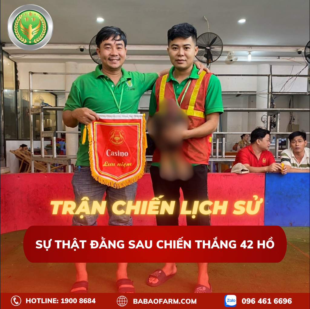 SỰ THẬT ĐẰNG SAU CHIẾN THẮNG 42 HỒ - TRẬN CHIẾN LỊCH SỬ