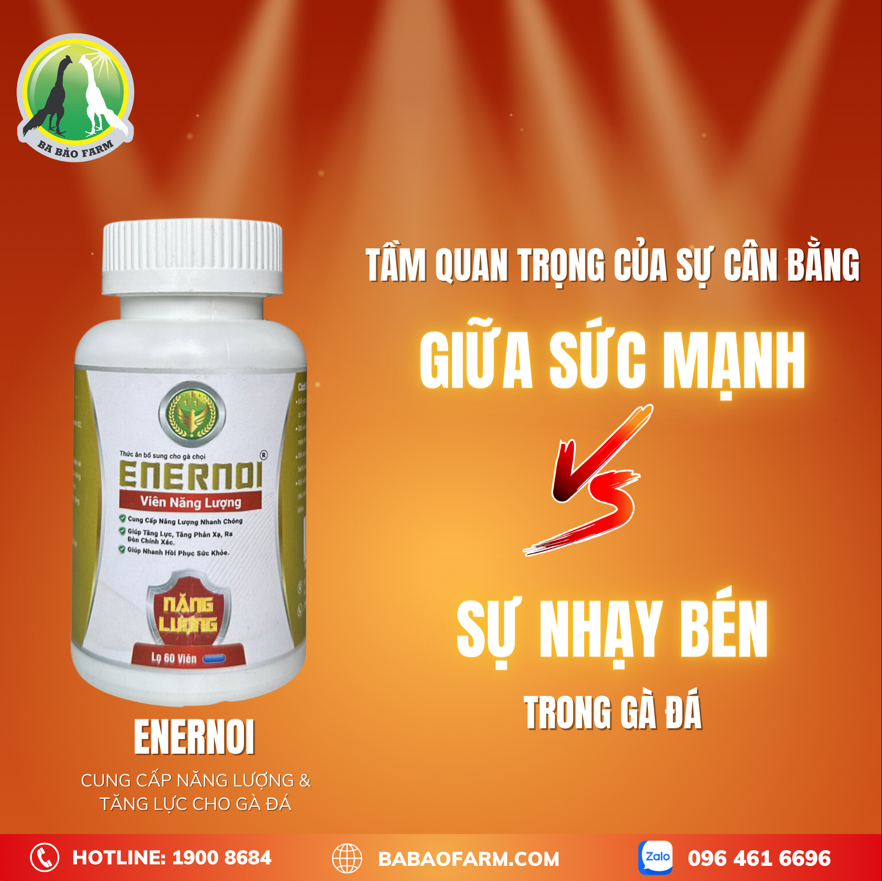 TẦM QUAN TRỌNG CỦA SỰ CÂN BẰNG GIỮA SỨC MẠNH VÀ SỰ NHẠY BÉN TRONG GÀ ĐÁ