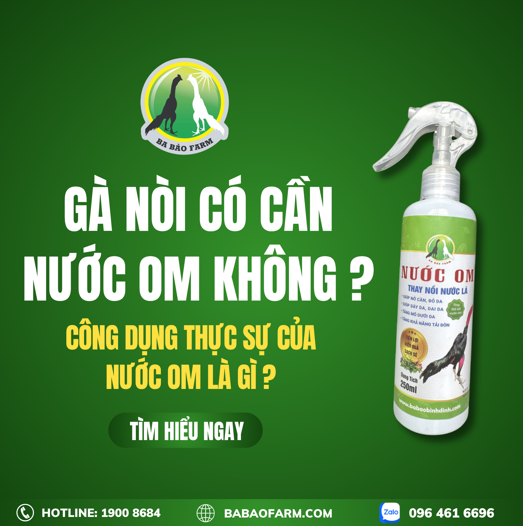 GÀ NÒI CÓ CẦN NƯỚC OM KHÔNG ? CÔNG DỤNG THẬT SỰ CỦA NƯỚC OM LÀ GÌ ?