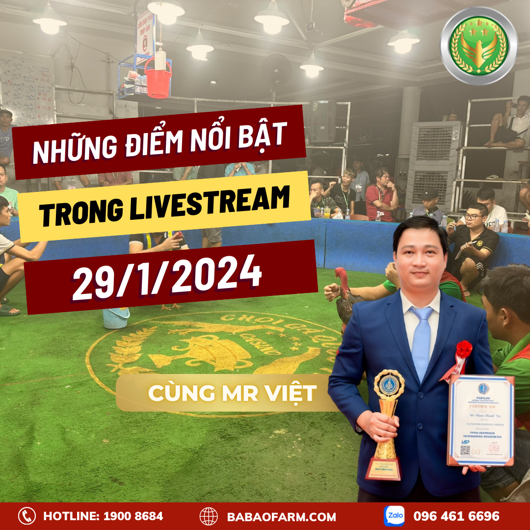 KHÁM PHÁ NHỮNG ĐIỂM NỔI BẬT TRONG LIVESTREAM 29/1/2024 VỚI MR. VIỆT