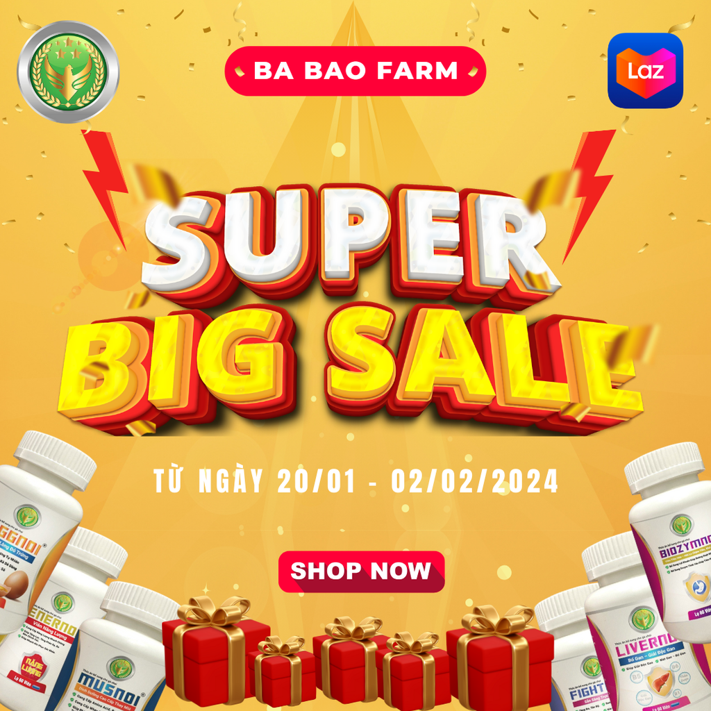 CHÀO ĐÓN TẾT CANH THÌN - BA BẢO SALE SẬP SÀN