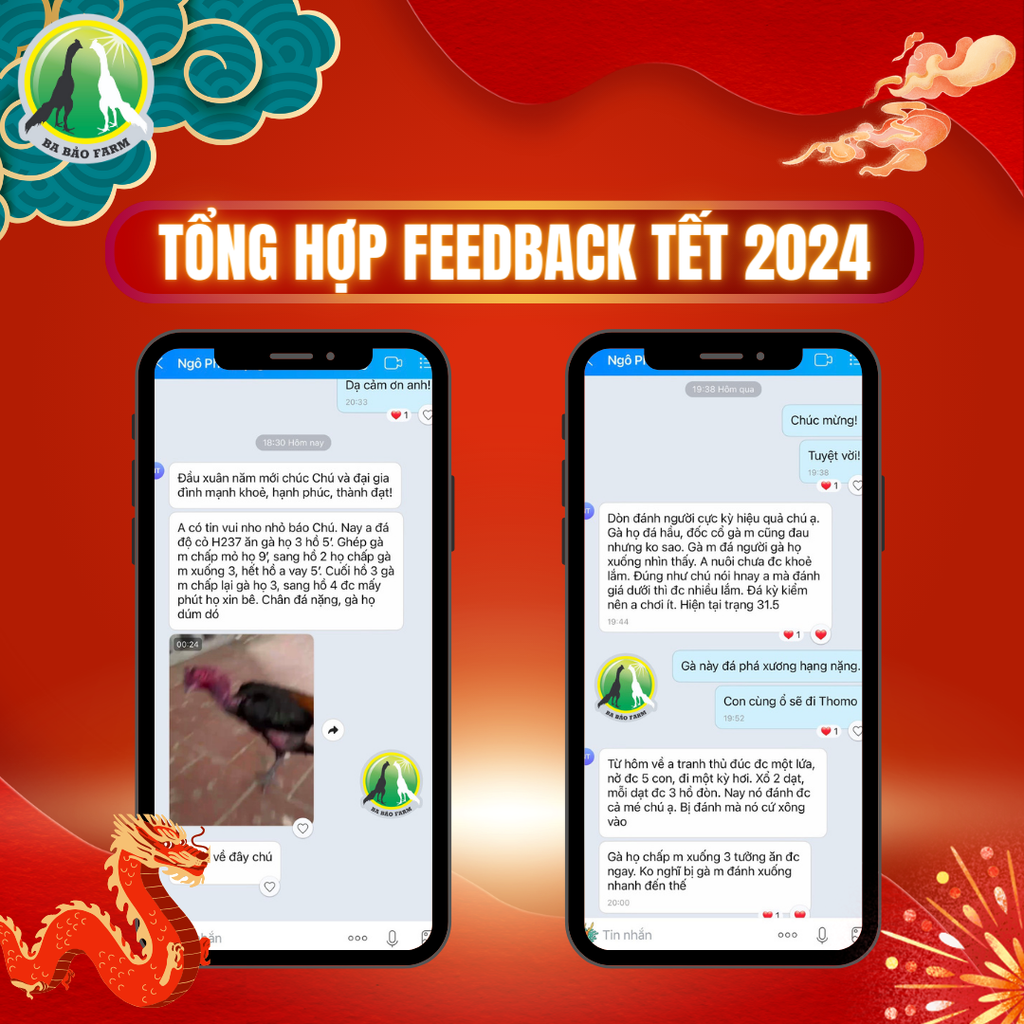 TỔNG HỢP FEEDBACK KHÁCH HÀNG CỰC CHẤT TẾT 2024