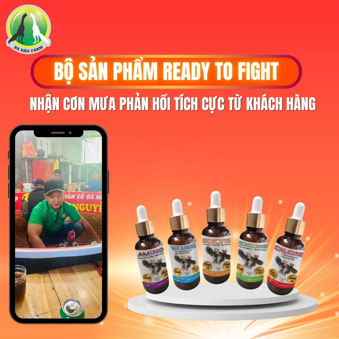 BỘ SẢN PHẨM “READY TO FIGHT