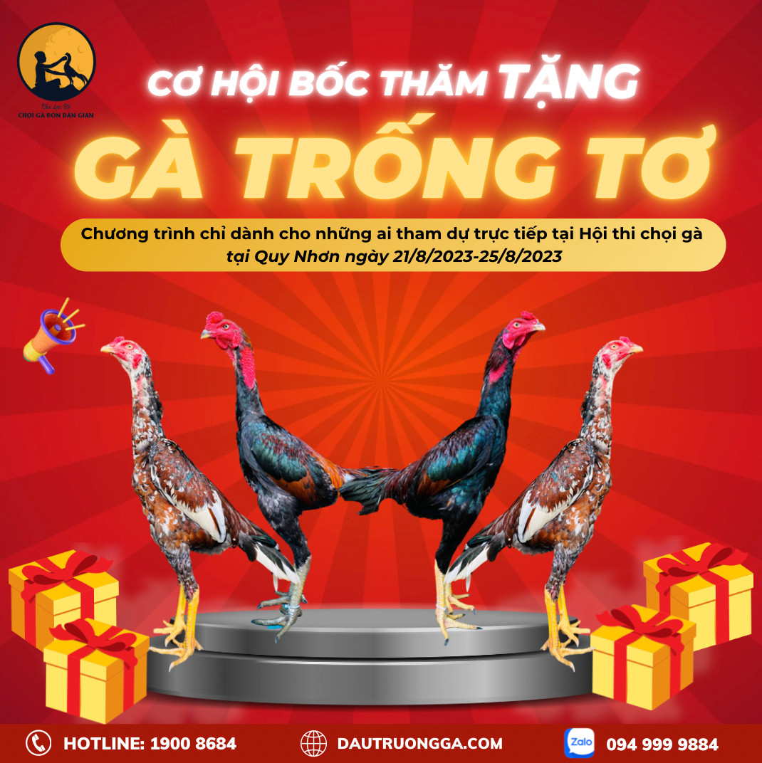 SỰ QUÝ GIÁ CỦA GÀ TRỐNG TƠ - BỨC TRANH TINH HOA