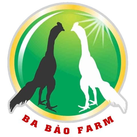 CHIẾN KÊ BA BẢO FARM CHƯƠNG TRÌNH BÌNH LUẬN CÓ QUÀ KỲ 1 VÀ CÁI KẾT