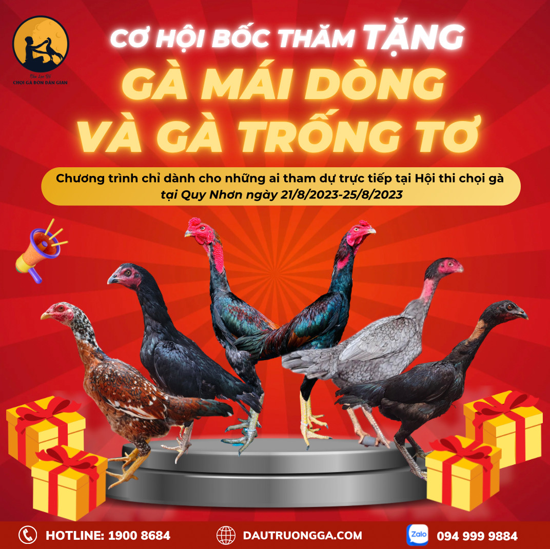 CƠ HỘI BỐC THĂM TẶNG NGAY GÀ MÁI DÒNG CHIẾN VÀ GÀ TRỐNG TƠ TỪ 4 TRẠI LỚN TÀI TRỢ CHO HỘI THI