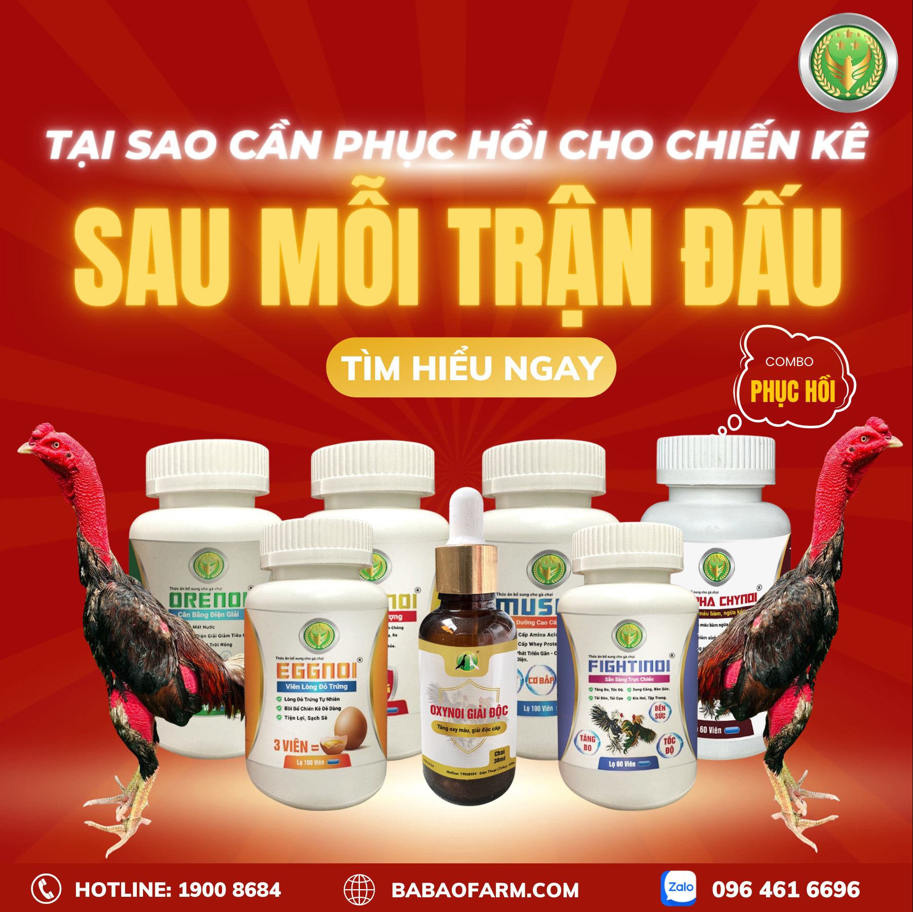 TẠI SAO CẦN PHỤC HỒI CHO CHIẾN KÊ SAU MỖI TRẬN ĐẤU ?