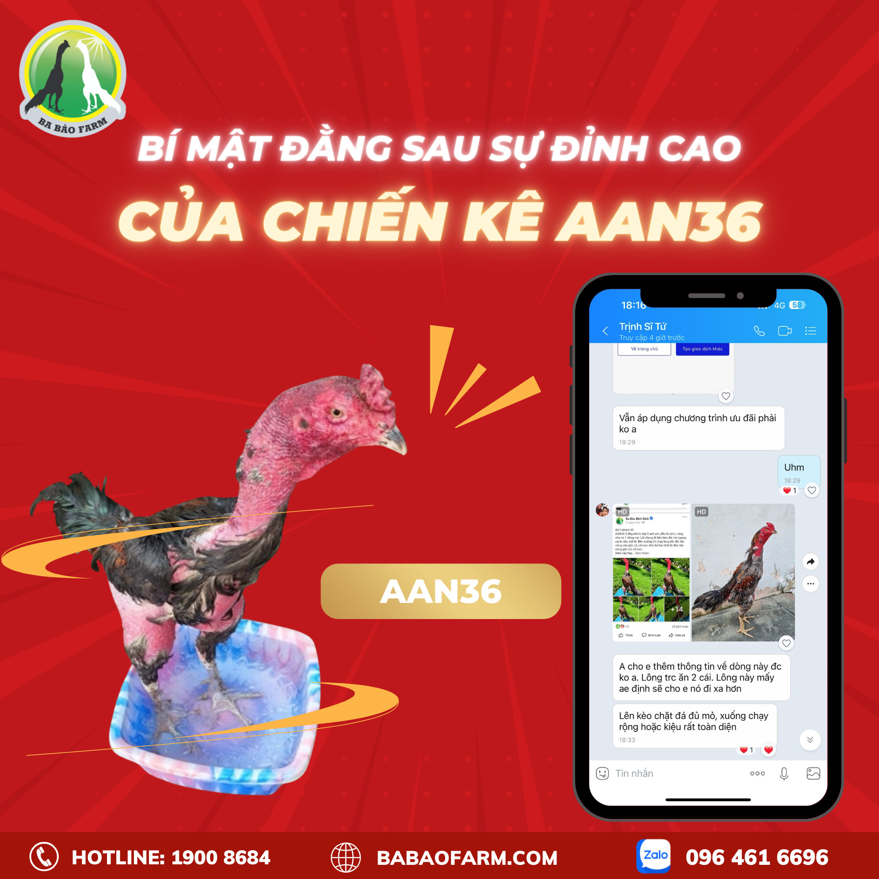 BÍ MẬT ĐẰNG SAU SỰ ĐỈNH CAO CỦA CHIẾN KÊ TẠI BA BẢO FARM