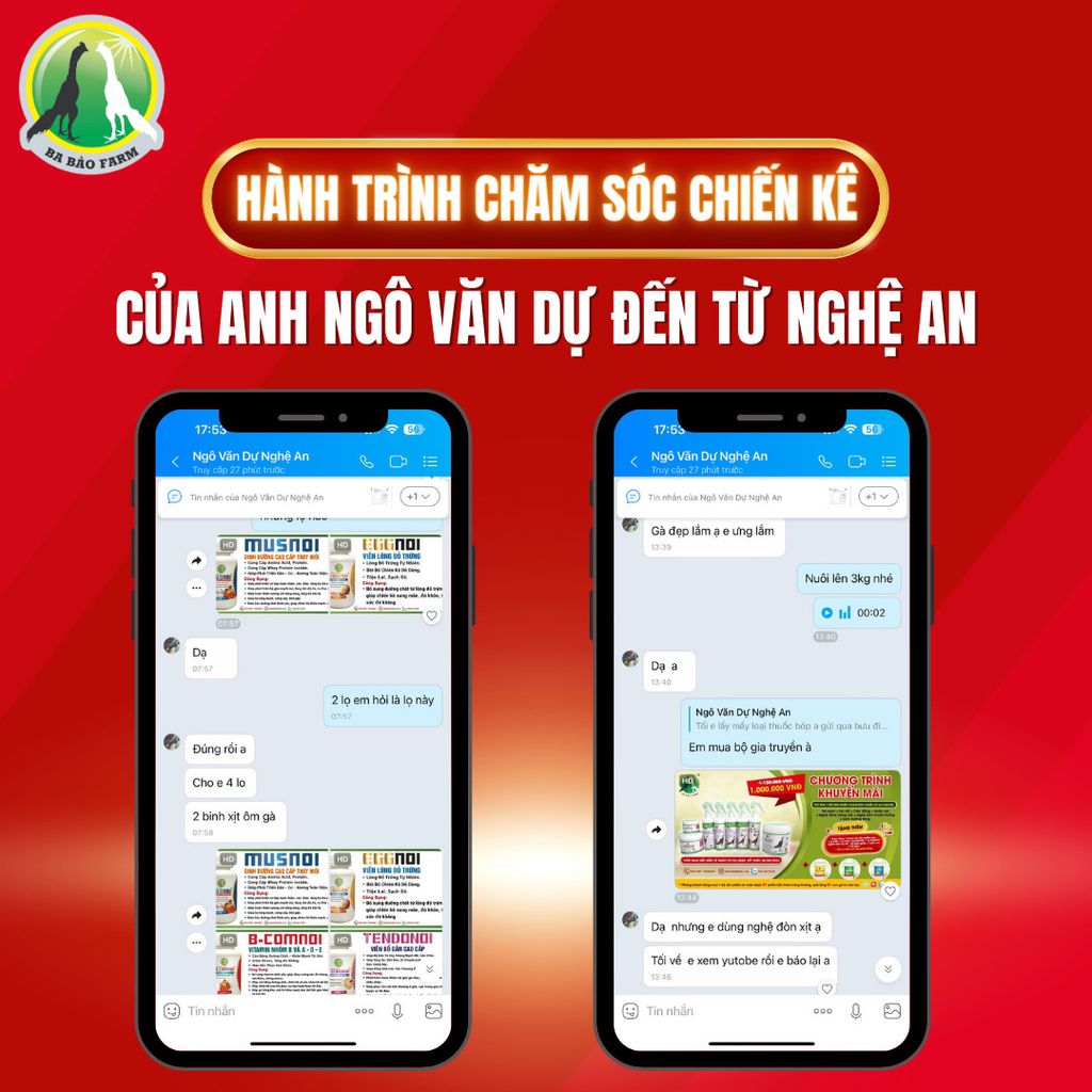 HÀNH TRÌNH CHẮM SÓC CHIẾN KÊ CỦA ANH NGÔ VĂN DỰ NGHỆ AN