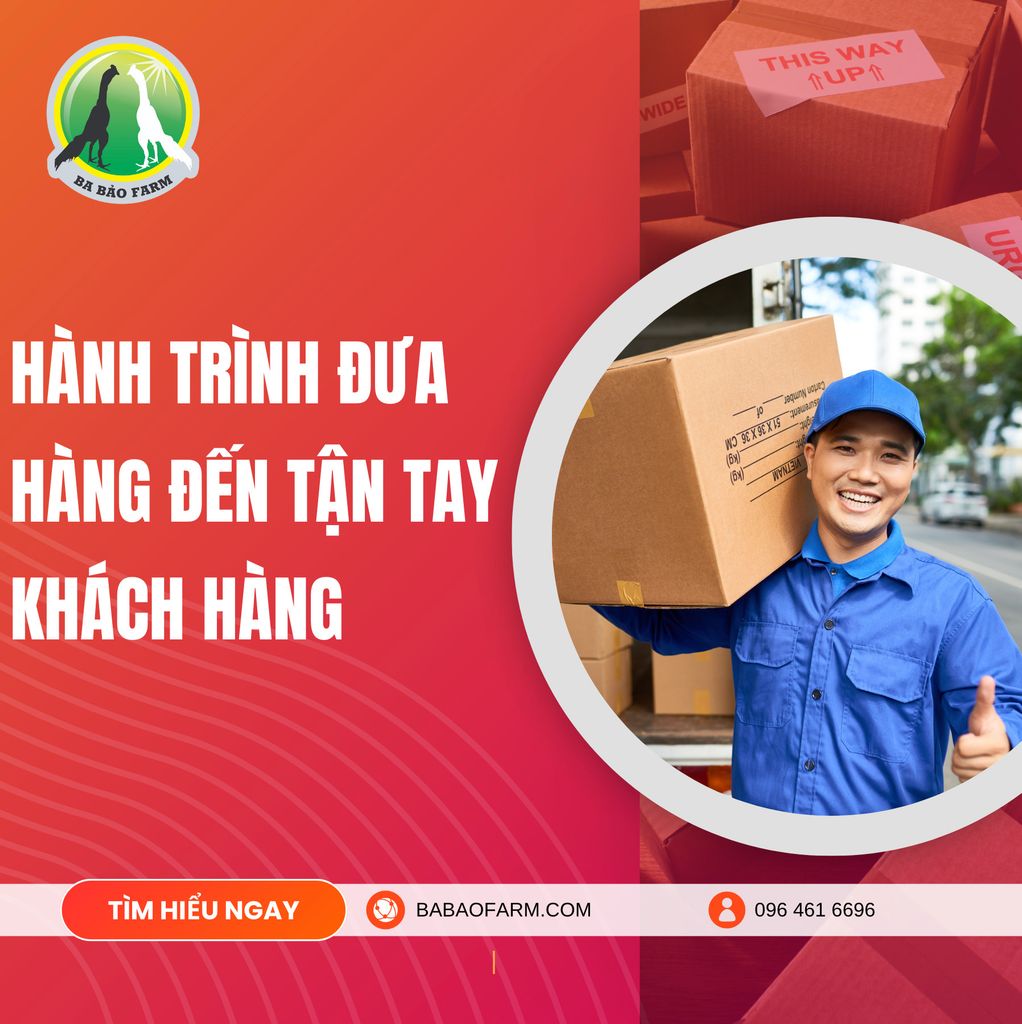 HÀNH TRÌNH ĐƯA HÀNG ĐẾN TẬN TAY KHÁCH HÀNG
