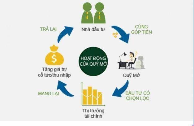 Thu Nhập Tài Chính Là Gì? Khái Niệm & Các Loại Hình Phổ Biến