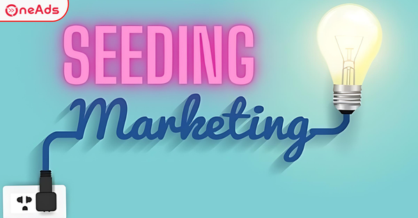 Bí Quyết Seeding Thành Công Nhất 2025