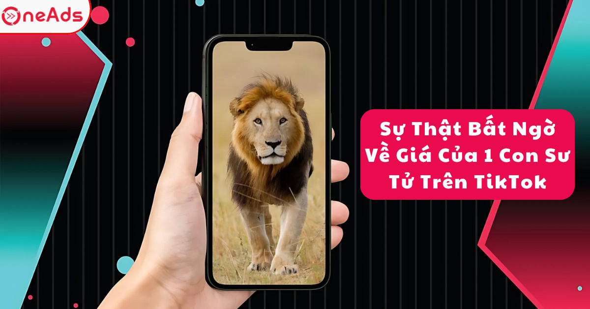 Sự Thật Bất Ngờ Về Giá Của 1 Con Sư Tử Trên TikTok