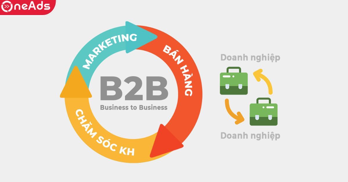 B2B Là Gì? So Sánh, Đánh Giá, Phân Tích Mô Hình Kinh Doanh