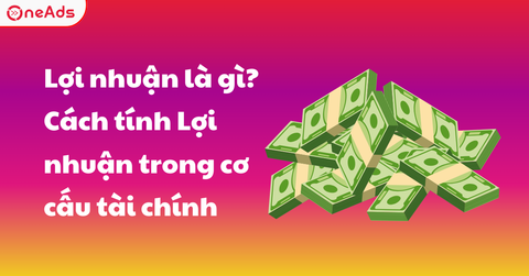 Lợi nhuận là gì? Cách tính Lợi nhuận trong cơ cấu tài chính