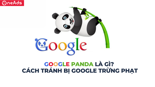 Google Panda là gì? Cách tránh bị Google trừng phạt
