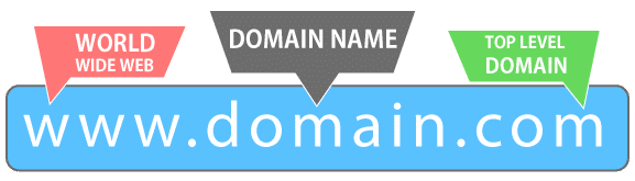 Domain là gì? Tổng quan các kiến thức từ A-Z về Domain