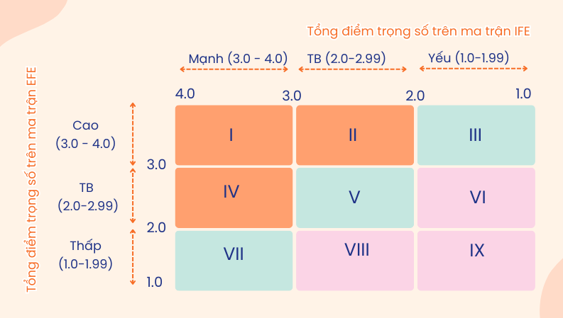 Ma Trận IFE-EFE là gì? Cách ứng dụng trong Quản Lý Chiến Lược