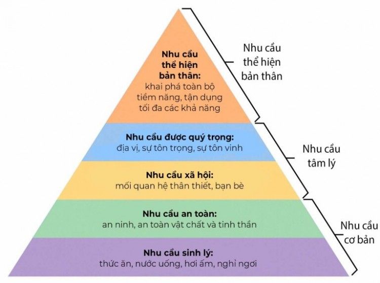 Học Thuyết ERG Và Những Thông Tin Quang Trọng