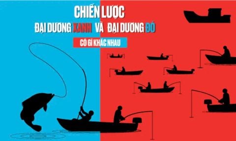 Chiến Lược Đại Dương Xanh Là Gì? 6 Nguyên Tắc Quan Trọng