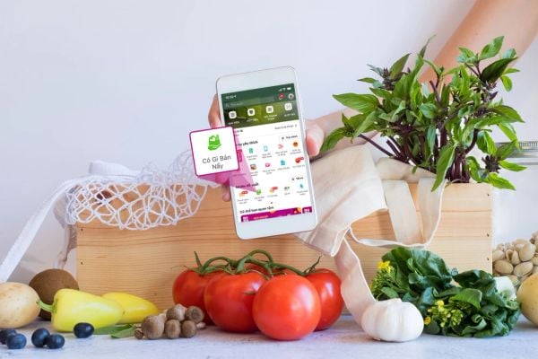 Momo Là Gì? Cách Sử Dụng, Dịch Vụ Cung Cấp