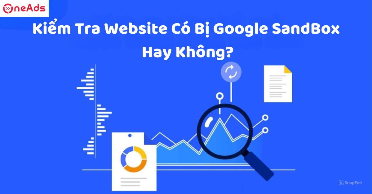 Kiểm Tra Website Có Bị Google SandBox  Hay Không?