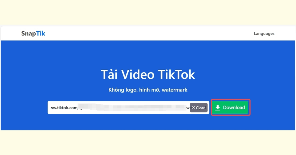 Hướng dẫn chi tiết cách lưu video TikTok không logo trên mọi thiết bị - Bước 2 Mở ứng dụng SnapTik và dán liên kết vào ô tải xuống