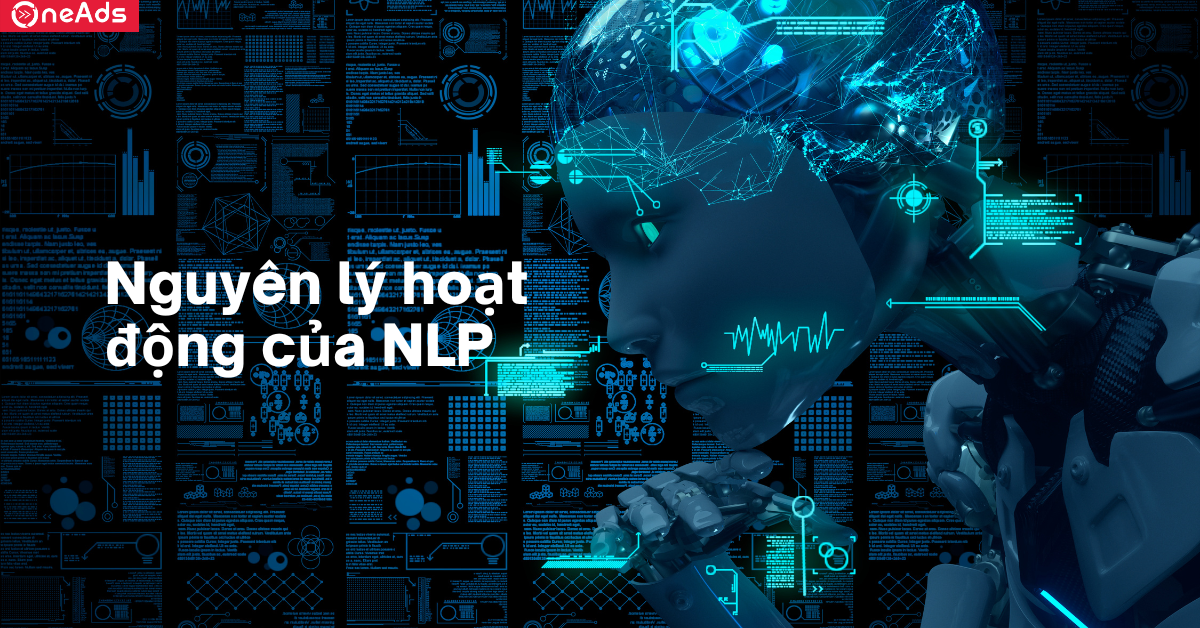 Nguyên lý hoạt động của NLP