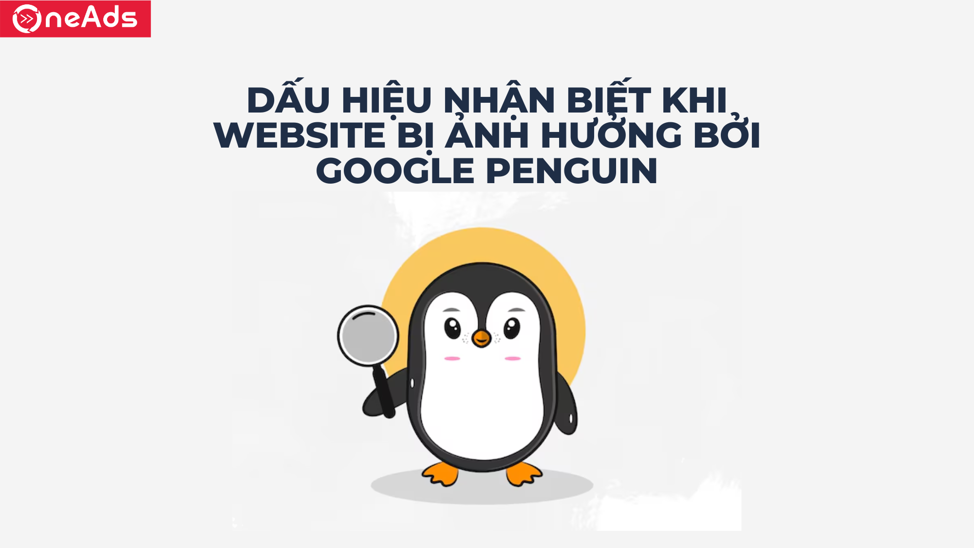 Dấu hiệu nhận biết  khi website bị ảnh hưởng bởi Google Penguin