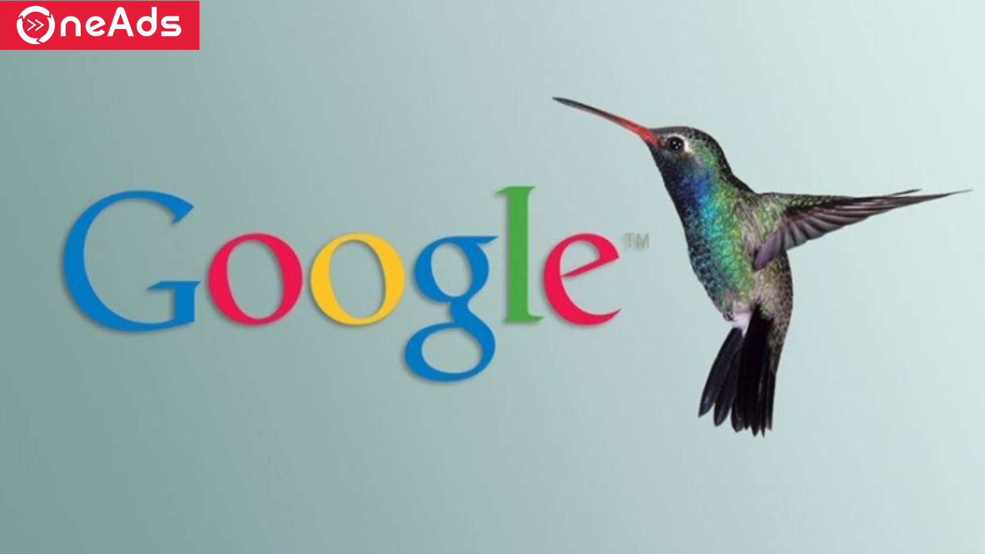 Lợi ích của Google Hummingbird