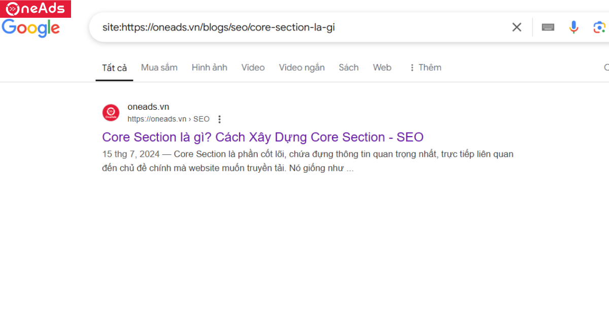Kiểm tra trực tiếp trên Google