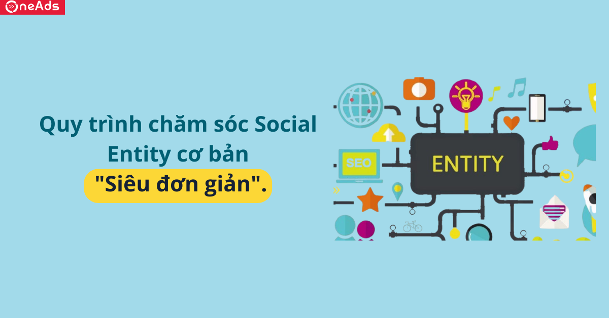 Quy trình chăm sóc Social Entity cơ bản