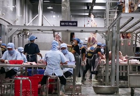 WHAT IS THE OPPORTUNITY FOR VIETNAMESE WORKERS IN AUSTRALIA?