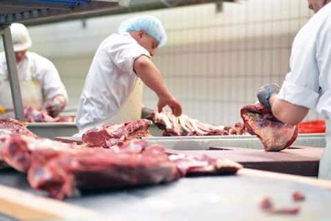 SPECIALIZED TRAINING PROGRAM IN BEEF INDUSTRY