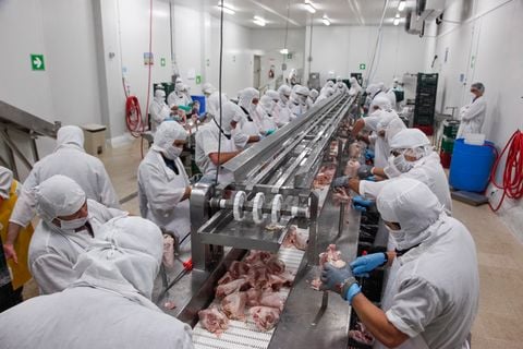 Tư vấn làm việc tại Úc
