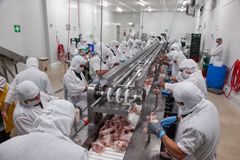 Tư vấn làm việc tại Úc