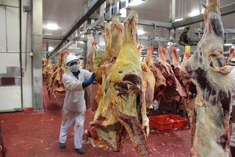 Is going to Australia under 482 Visa a labour export?