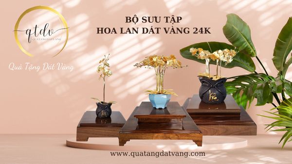 Bộ Sưu Tập Hoa Lan Dát Vàng 24K: Vẻ Đẹp Sang Trọng Cho Cuộc Sống