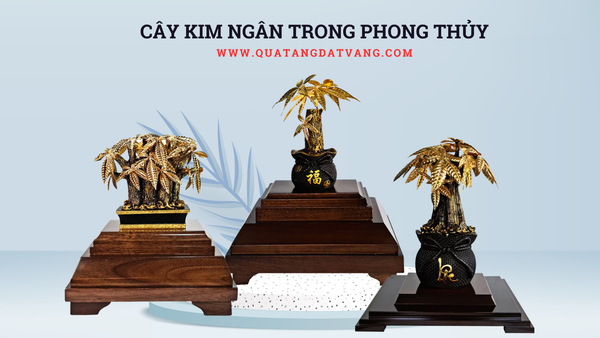 Cây kim ngân và ý nghĩa phong thủy của nó