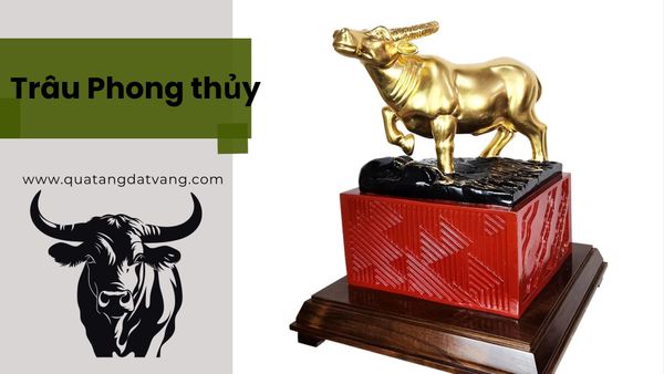 Tượng trâu trong phong thủy: Ý nghĩa và tác động tới sự thịnh vượng