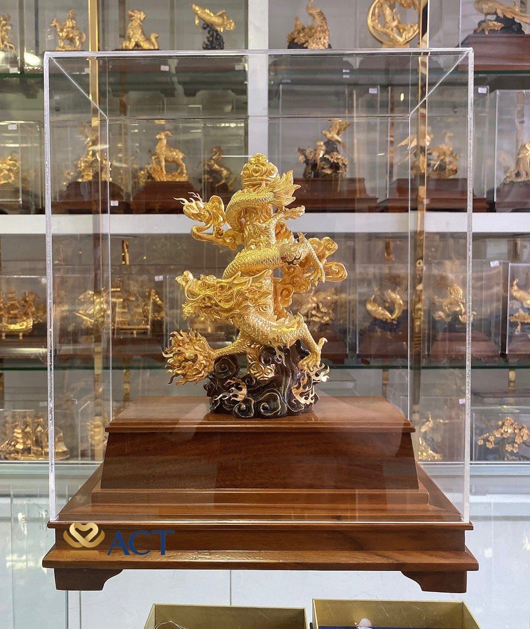 Quà tặng rồng vàng
