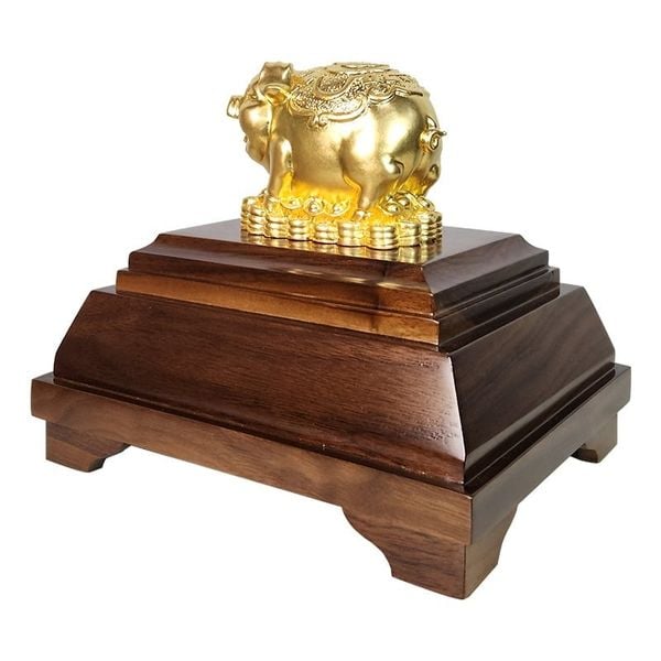 Hình ảnh bài viết
