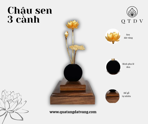 chậu sen dát vàng
