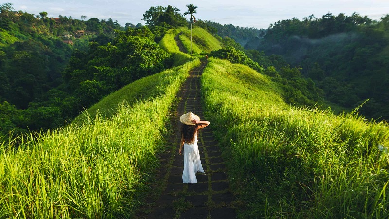 Con Đường Tình Yêu Campuhan Ridge Walk Ở Bali