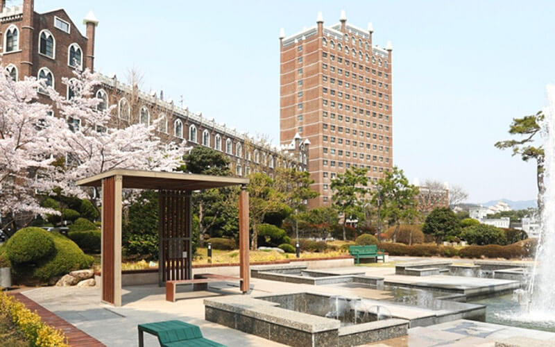 Đại Học Gwangju Hàn Quốc
