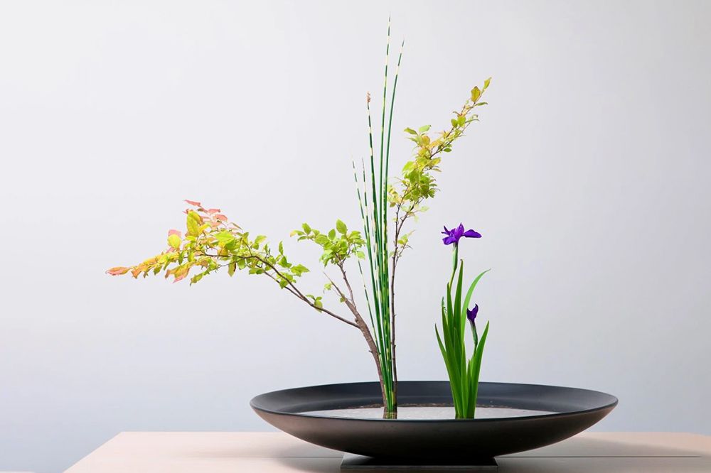 hoa đạo ikebana